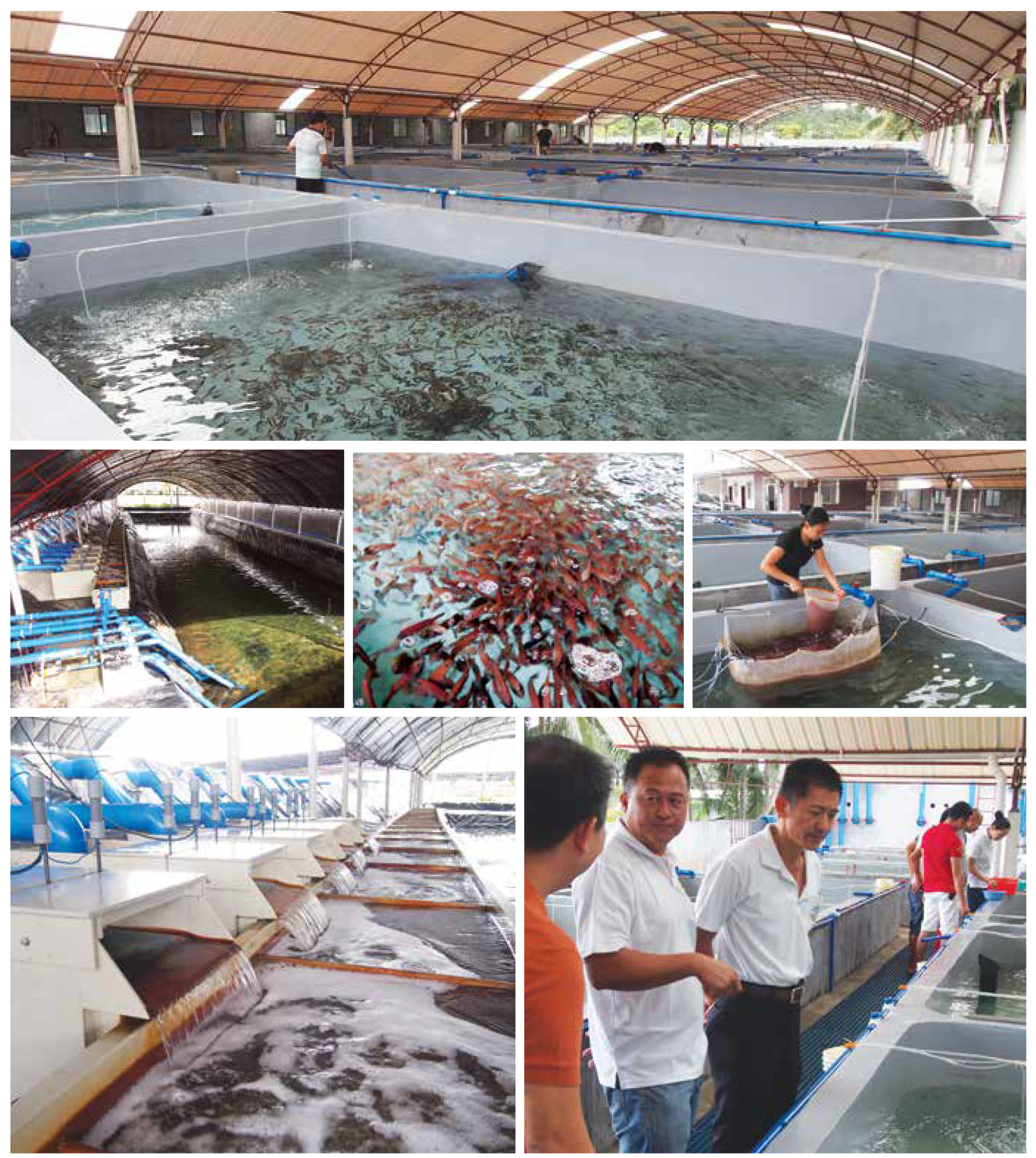 Hainan Fish Farm.jpg